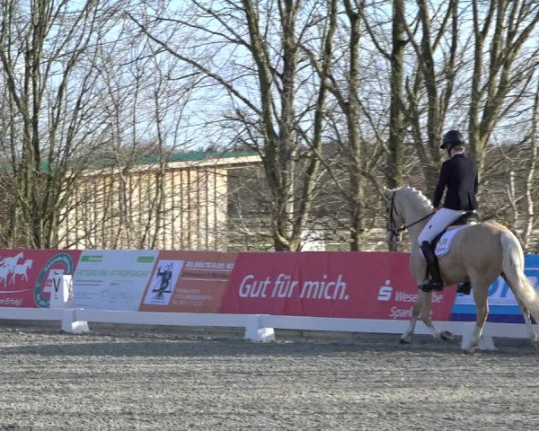 Reitturnier Elmlohe 2022