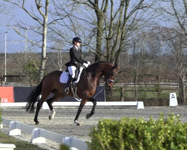 Reitturnier Elmlohe 2022