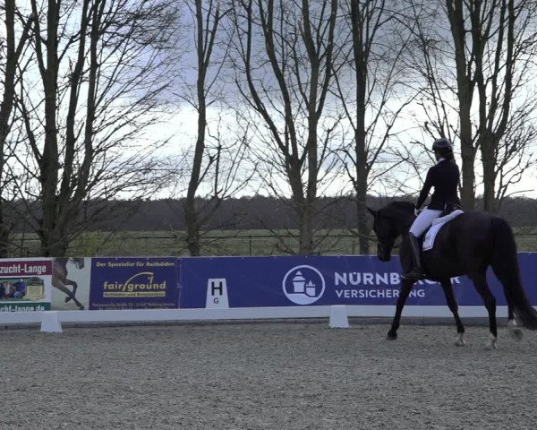 Reitturnier Elmlohe 2022