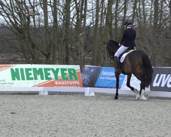 Reitturnier Elmlohe 2022