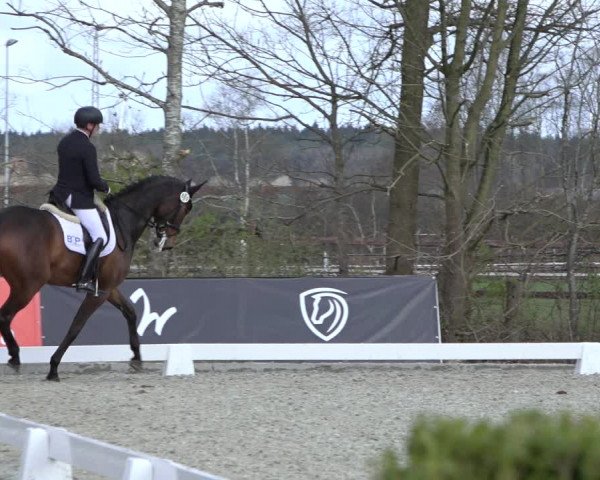 Reitturnier Elmlohe 2022