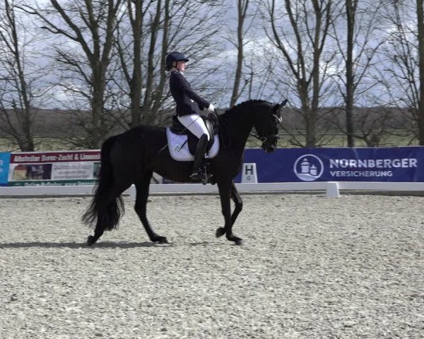 Reitturnier Elmlohe 2022