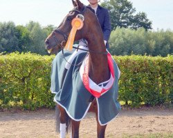 dressage horse Rock for Glory (Westphalian, 2008, from Rock Forever NRW)