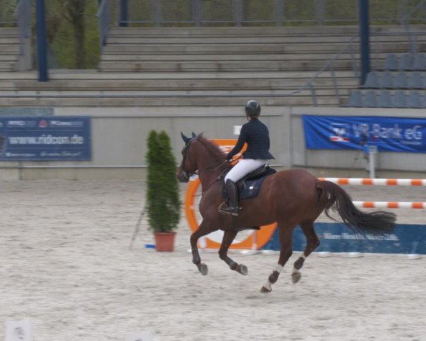 Reitturnier Aachen-Soers 2022