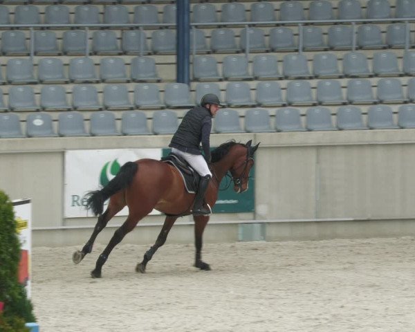 Reitturnier Aachen-Soers 2022