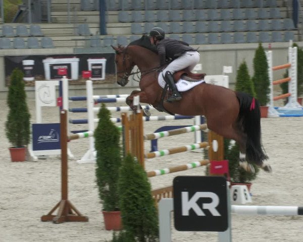 Reitturnier Aachen-Soers 2022