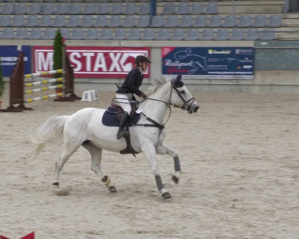 Reitturnier Aachen-Soers 2022