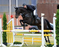 jumper Corleone's Chico (Polish Warmblood, 2006, from Corleone Z)