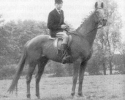 stallion Koridon xx (Thoroughbred, 1946, from Karamont xx)