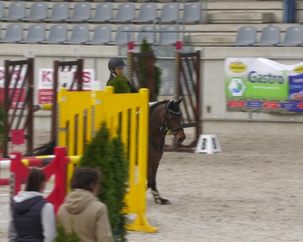 Reitturnier Aachen-Soers 2022