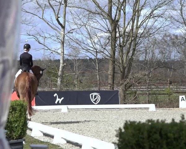 Reitturnier Elmlohe 2022