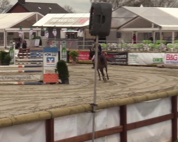 Lenklarer Reitertage 2022 (Werne)