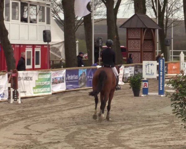 Reitturnier Werne-Lenklar 2022