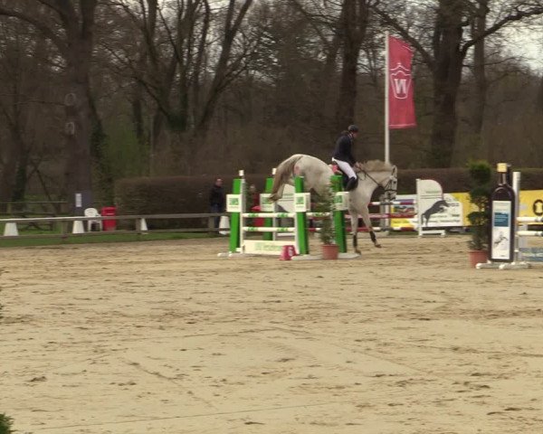 Reitturnier Münster-Handorf | Late Entry 2022