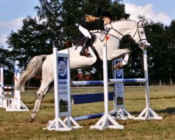 broodmare Askona 17 (Brandenburg, 2002, from Askari)