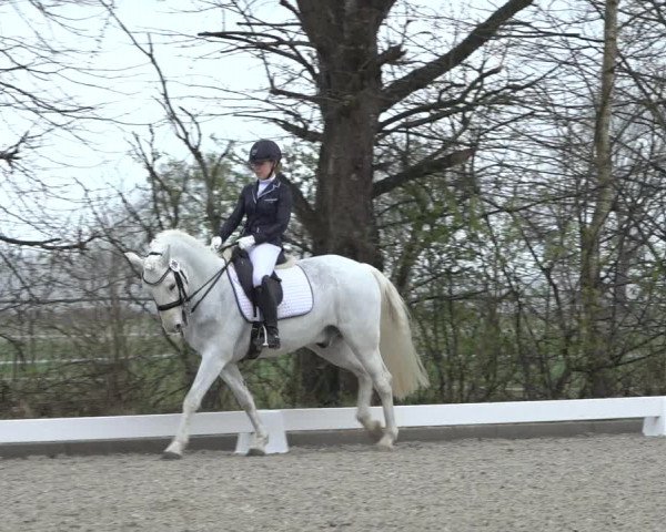 Reitturnier Elmlohe 2022