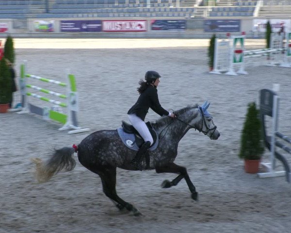 Reitturnier Aachen-Soers 2022