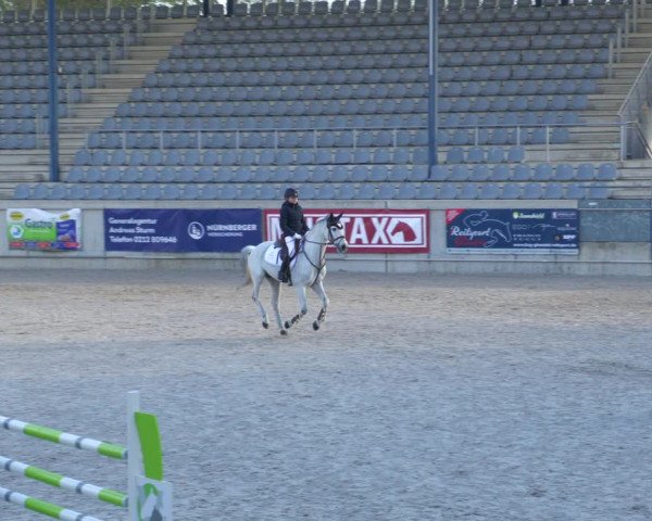 Reitturnier Aachen-Soers 2022