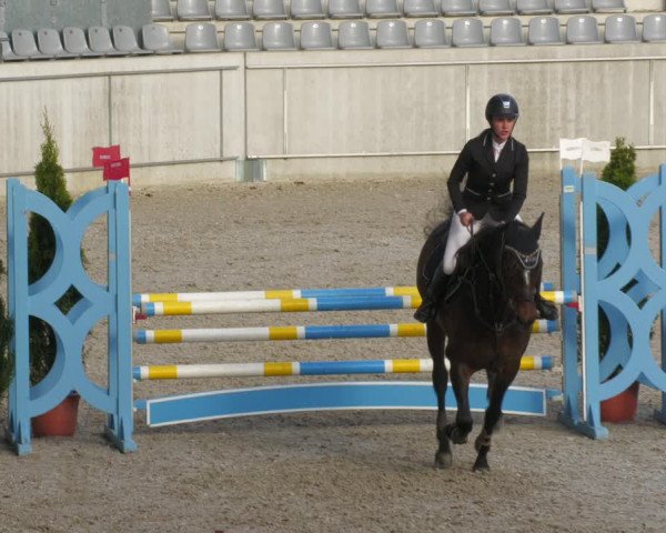 Reitturnier Aachen-Soers 2022