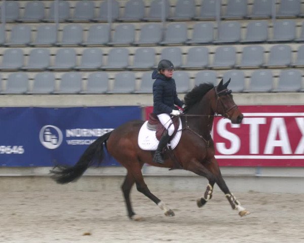 Reitturnier Aachen-Soers 2022