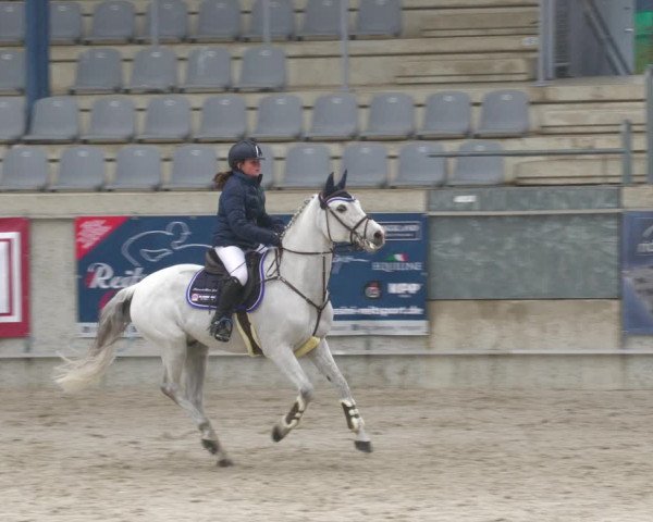 Reitturnier Aachen-Soers 2022