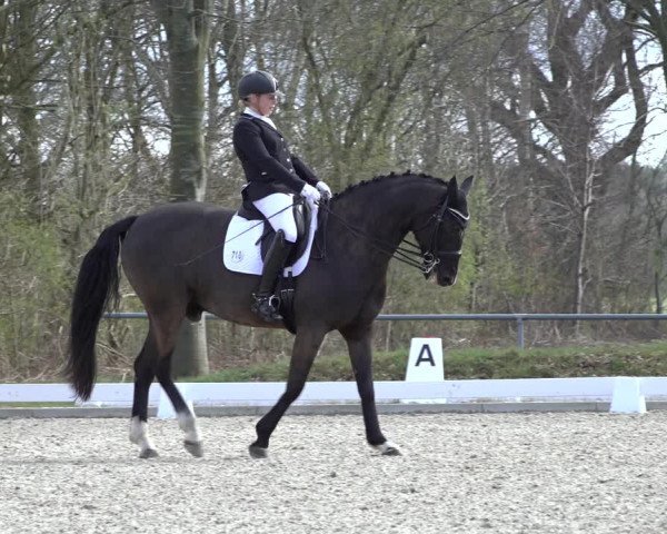Reitturnier Elmlohe 2022