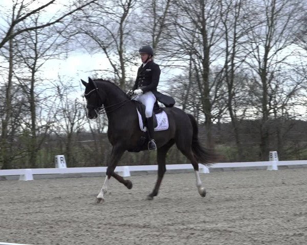 Reitturnier Elmlohe 2022