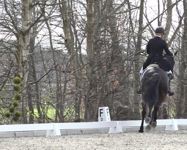 Reitturnier Elmlohe 2022