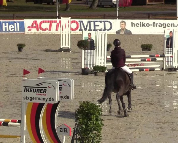 Reitturnier Westergellersen 2022