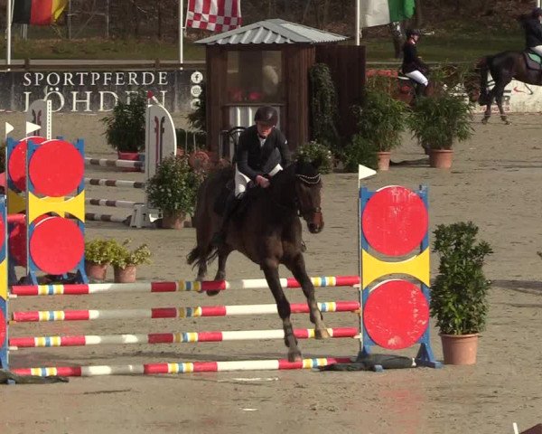 Reitturnier Westergellersen 2022
