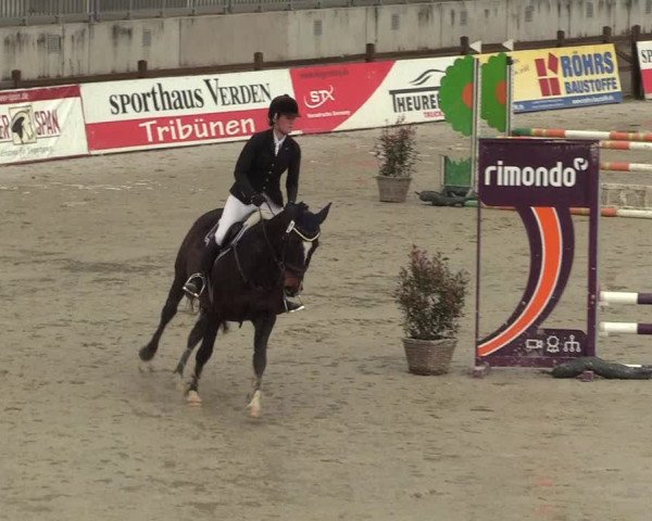Reitturnier Westergellersen 2022