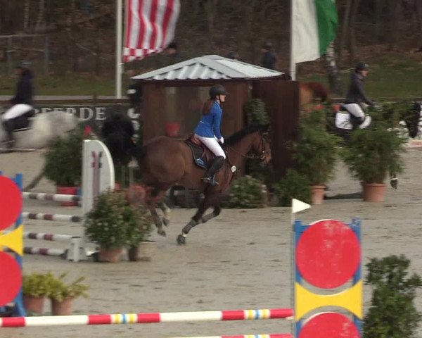 Reitturnier Westergellersen 2022