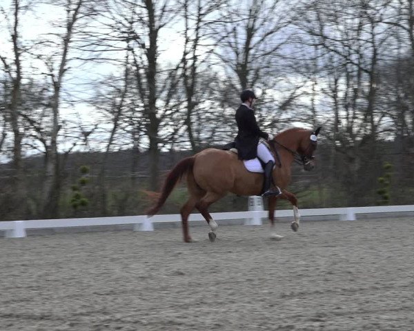 Reitturnier Elmlohe 2022