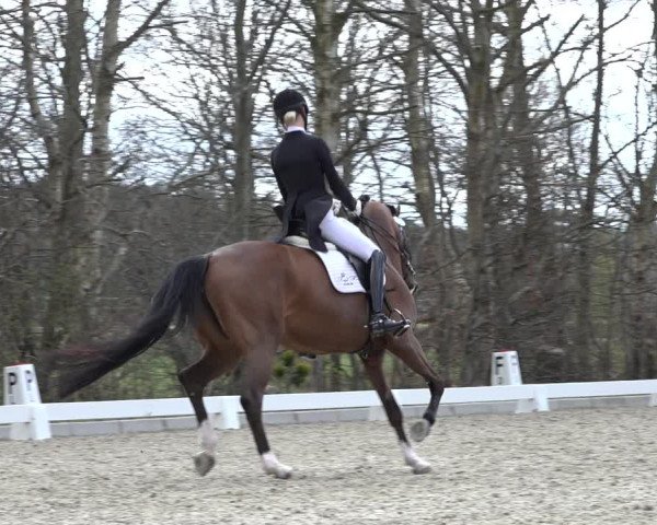 Reitturnier Elmlohe 2022