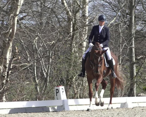 Reitturnier Elmlohe 2022