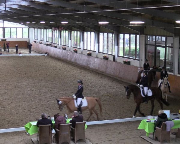 Reitturnier Werne-Lenklar 2022