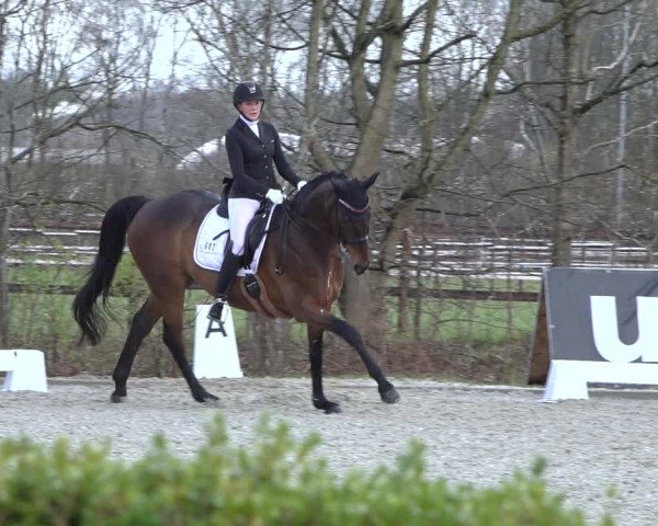 Reitturnier Elmlohe 2022