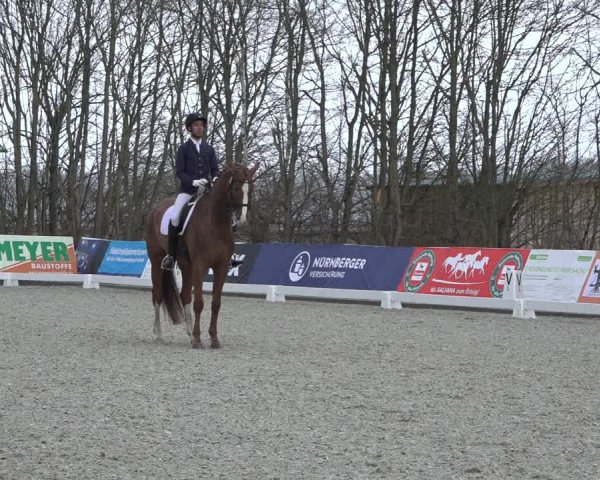 Reitturnier Elmlohe 2022