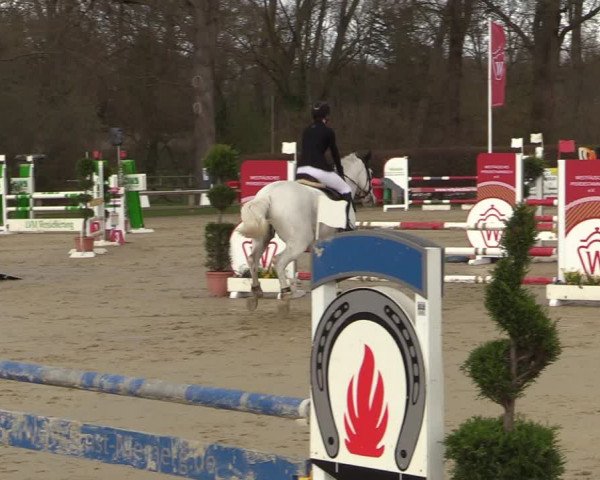 Reitturnier Münster-Handorf 2022