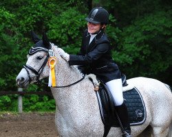 jumper Thahila ox (Arabian, 2005)