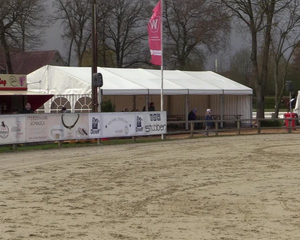 Reitturnier Münster-Handorf 2022