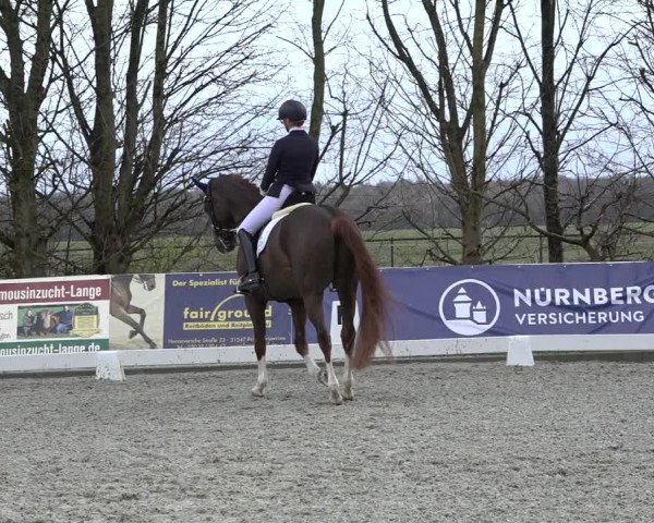 Reitturnier Elmlohe 2022