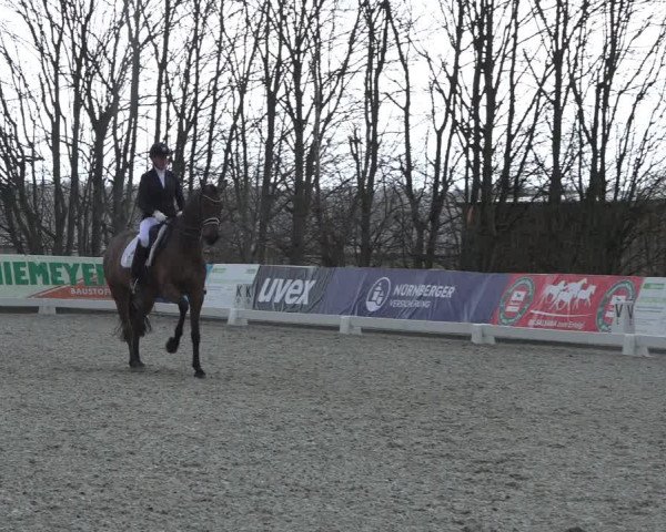 Reitturnier Elmlohe 2022