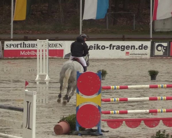 Reitturnier Westergellersen 2022