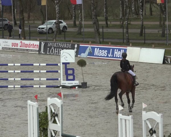 Reitturnier Westergellersen 2022