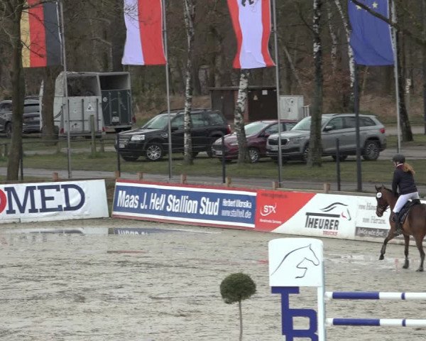 Reitturnier Westergellersen 2022