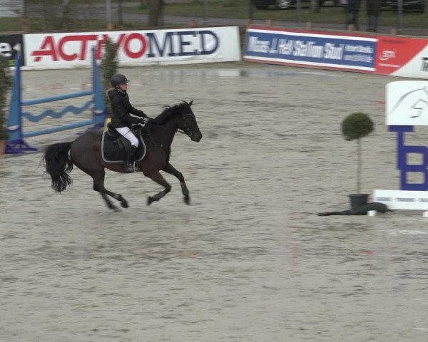 Reitturnier Westergellersen 2022