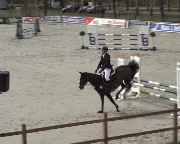 Reitturnier Westergellersen 2022