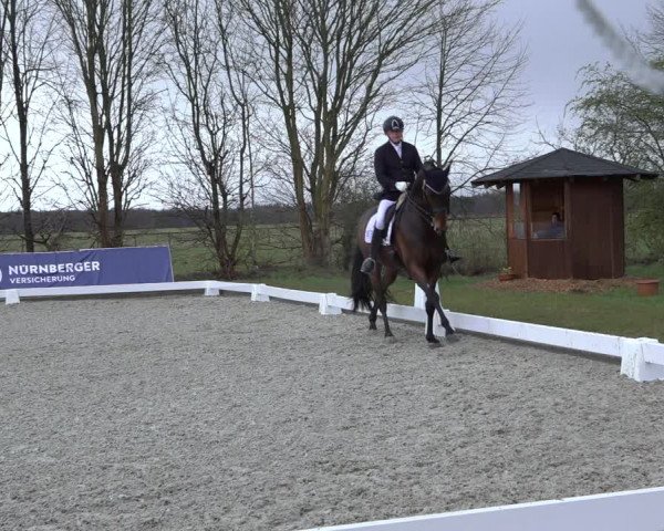 Reitturnier Elmlohe 2022