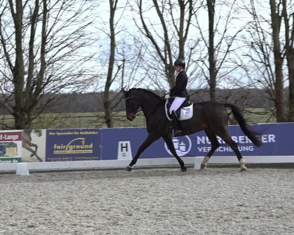 Reitturnier Elmlohe 2022